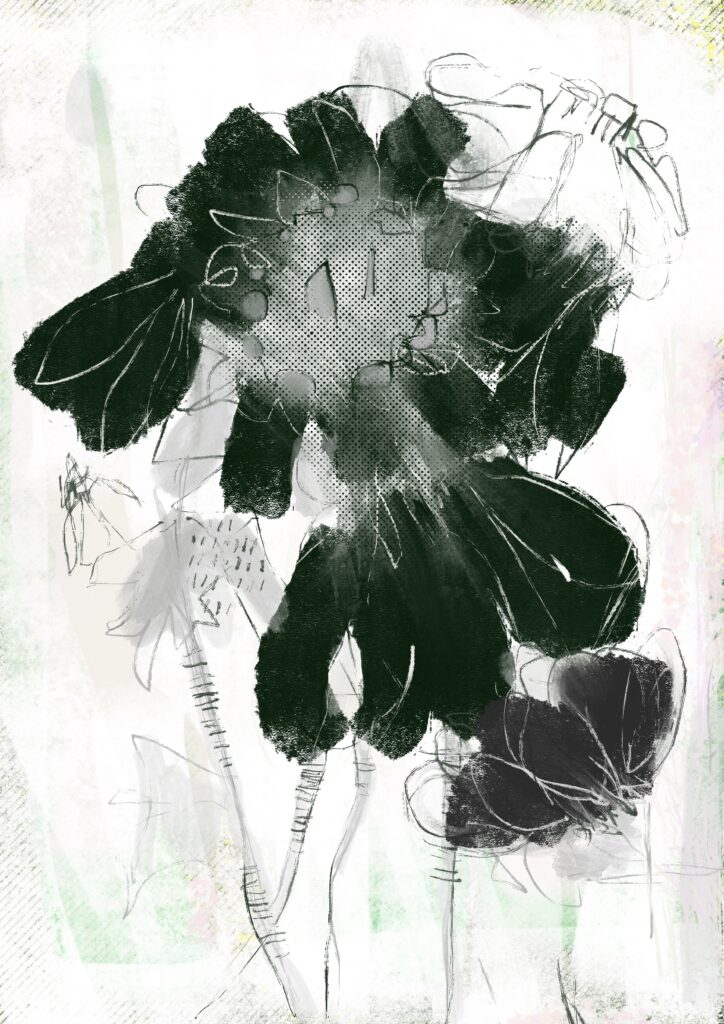 digitale Studie, Sonnenhut